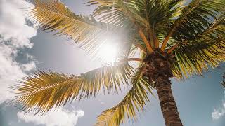 Nu, Jo.Ke - Who Loves The Sun (DSF Remix) played by Keinemusik in Tulum Resimi