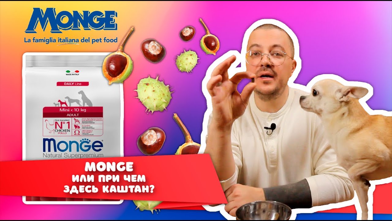 Расскажем зачем в корм Monge для собак добавлен каштан! Корм для собак мелких пород с курицей.
