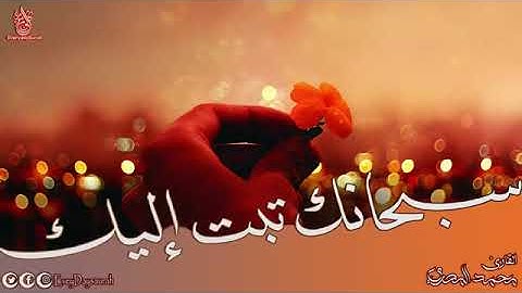 سورة المؤمنون من الآية ٤٨ حتى نهاية السورة