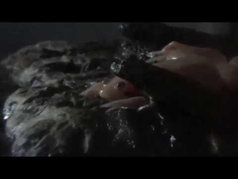 How To Care For Fire Belly Toads