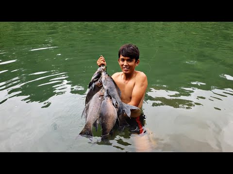 Video Bắt Cá Như Người Rừng | Sang Vlog Tìm Về Nơi Bình Yên - youtube