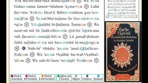 ختمة من مصحف التجويد باللغة الألمانية الصفحة رقم 264