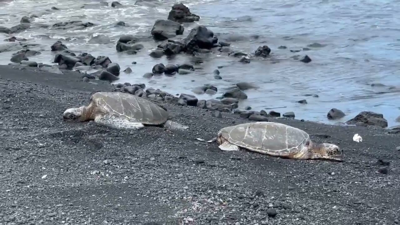 Hilo Hawaii, Black Sand Beach, Rainbow Falls, Kens House Of Pancakes