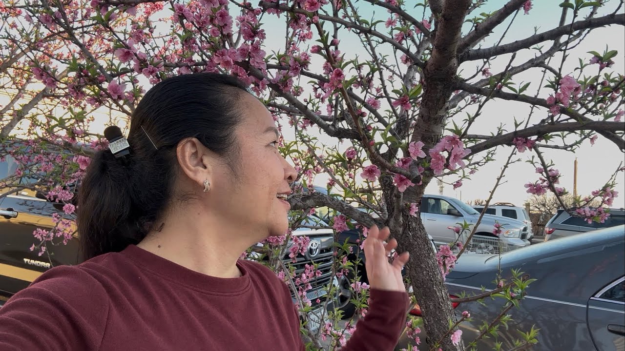 Làm Bánh Tráng Trộn và Đi Chợ Cà Mau # 708