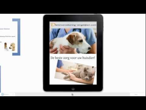 Video: Huisdierenverzekering Versus Mensenverzekering (Managed Care)