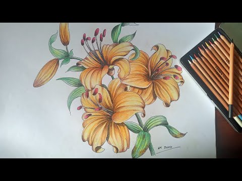 Video: Teknik Pensil Warna: Cara Melukis Bunga