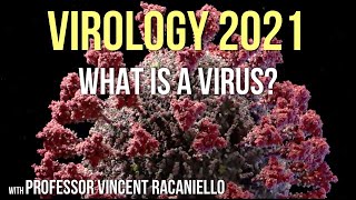 Virology Lectures 2021 1: What is a Virus