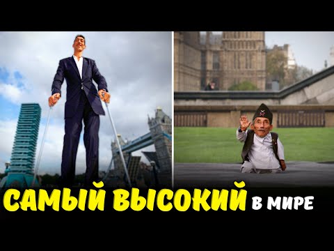 Video: Сейсин келишими эмнени билдирет?