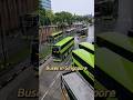 Discover The Different Types Of Buses In Singapore