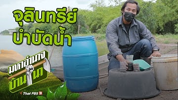 จุลินทรีย์บำบัดน้ำ : สูตรลับฉบับบ้านนา