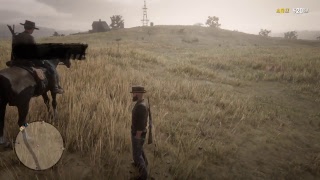 Red dead redemption 2  online beta