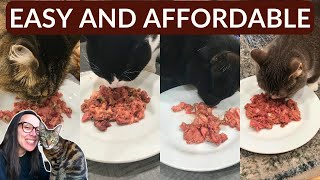 Easy homemade cat food recipes that are actually complete