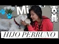 TAG DE LA MASCOTA CON POKER ♥  | SindyArenas