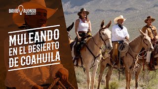 Muleando en el desierto de Coahuila