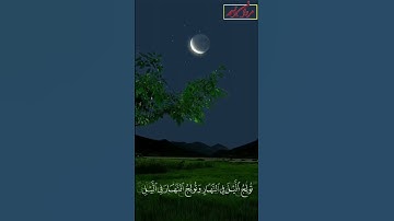تلاوة خاشعة تريح القلب والعقل ❤ #تلاوة_خاشعة #قرآن_كريم #آل_عمران #تلاوة #تلاوة_مميزة #تلاوة_هادئة