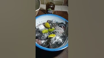 Thumbnail of Tips cara membersihkan ikan lele