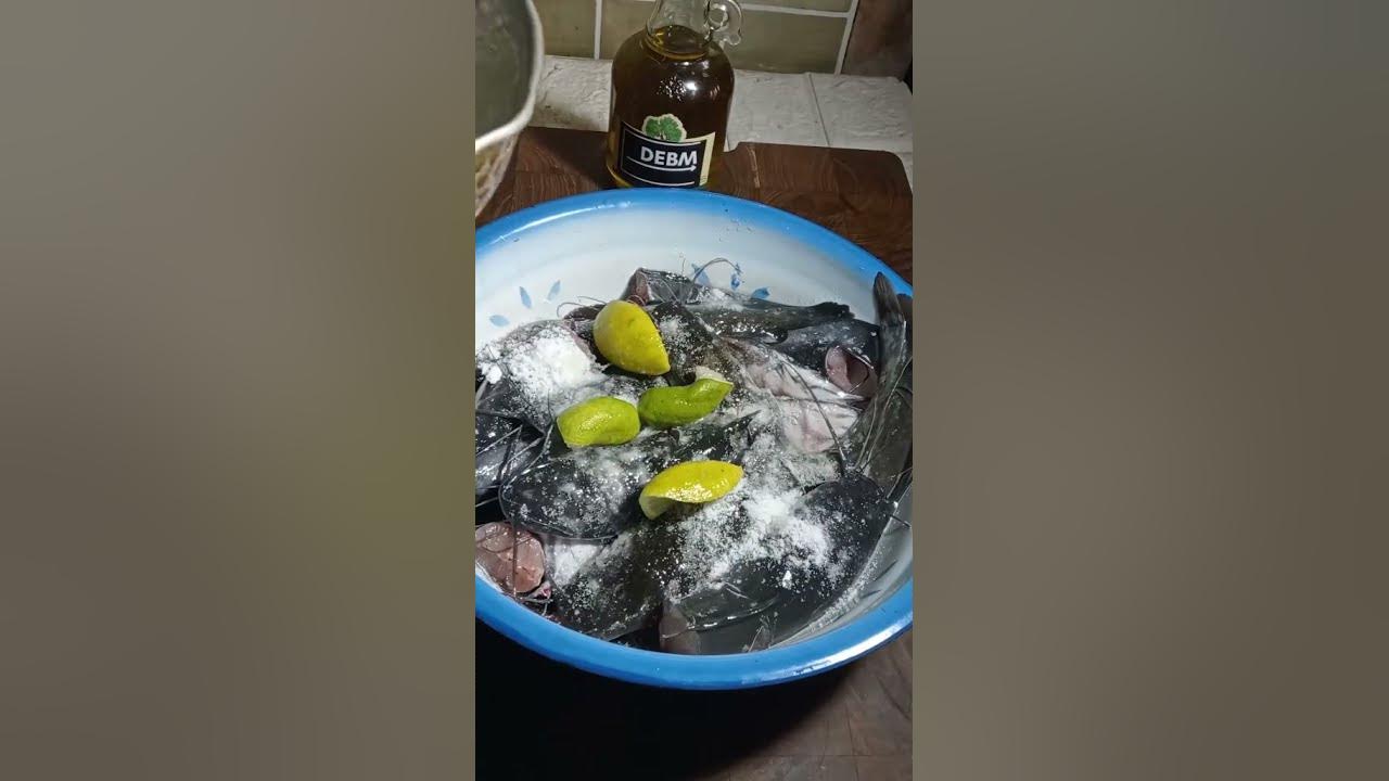 Tips cara membersihkan ikan lele
