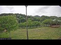 河津町笹原公園ライブカメラ