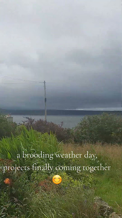 Project in motion