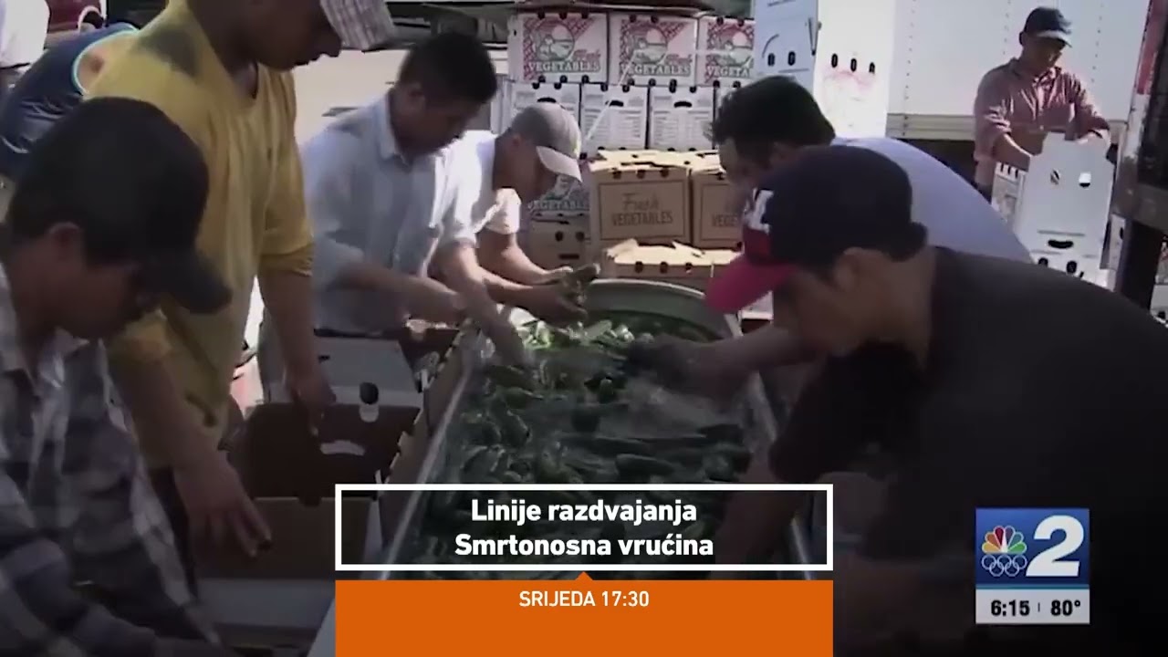 خطوط فاصلة - حرارة قاتلة - الأربعاء 5:30 مساءً