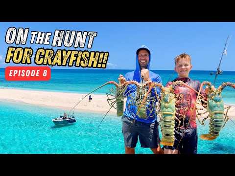 Hunting Monster Crayfish On A Pristine Coral Reef! 🦞 On The Hunt Ep.8