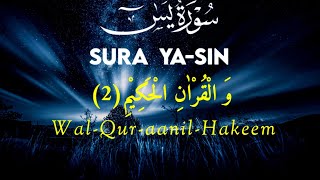 Surah Yaseen (Yasin) Beautiful Recitation Full || سورہ یسین || EP-154 || Zain 