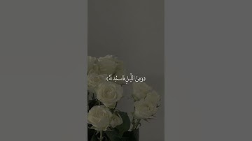 تلاوه هادئه تريح القلب 🤍🕊🎧 | القارئ اسلام صبحي | ارح قلبك من ضجيج الحياه 💜