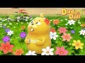 Duda&amp;Dada English 30min random compilation #2 | Kids Animation | Funny🤣