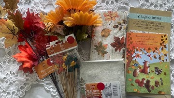 Small Fall Crafts DT Haul