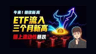 牛来,继续新高!比特币现货ETF单日净流入创三月内新高,加密市场持续横盘,链上流动性暴跌【Vic TALK第1772期】