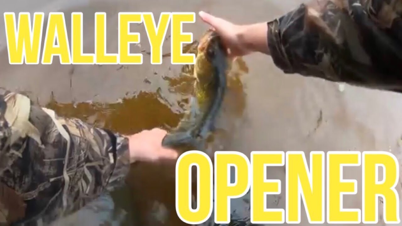 Michigan Walleye Opener YouTube