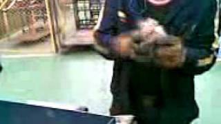 VIDEO PRACTICA PROFESIONAL 1