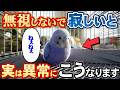 寂しさを感じた時だけに見せる5つの仕草と正しい接し方