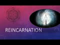 Why Reincarnation is logical and the most important idea to explain injustice in life and worldwide?