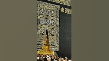 {أفلا ينظرون إلى الإبل كيف خلقت} [الغاشية:17]- عبدالرحمن مسعد - القرآن الكريم تحميل و استماع🎧🤍😔