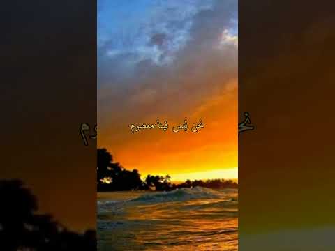 ليس فينا معصوم