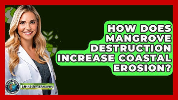 How Does Mangrove Destruction Increase Coastal Erosion? - Earth Science Answers