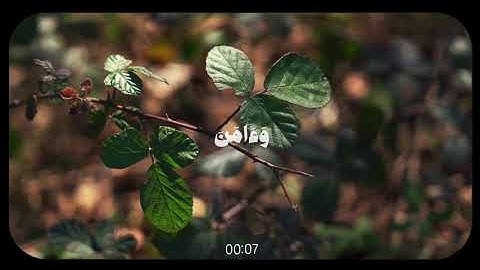  وَإِنِّي لَغَفَّارٌ لِمَن تَابَ وَآمَنَ وَعَمِلَ صَالِحًا | سورة طه | عمر بن ضياء دين 