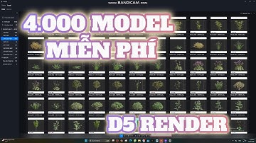 Thư viện miễn phí vào D5 Render – Fix lỗi không thấy link bản cập nhật 2.11