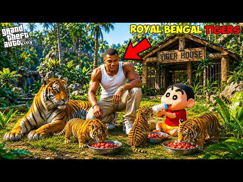 Franklin & Shinchan Found Dangerous Royal Bengal Tiger Cubs in GTA 5