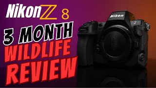 Pros and Cons of the Nikon Z8 : Bird and Wildlife Photography 3-Month Review