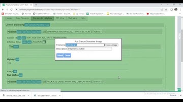 Add Package Label Image to Pragmatic Validator XForms