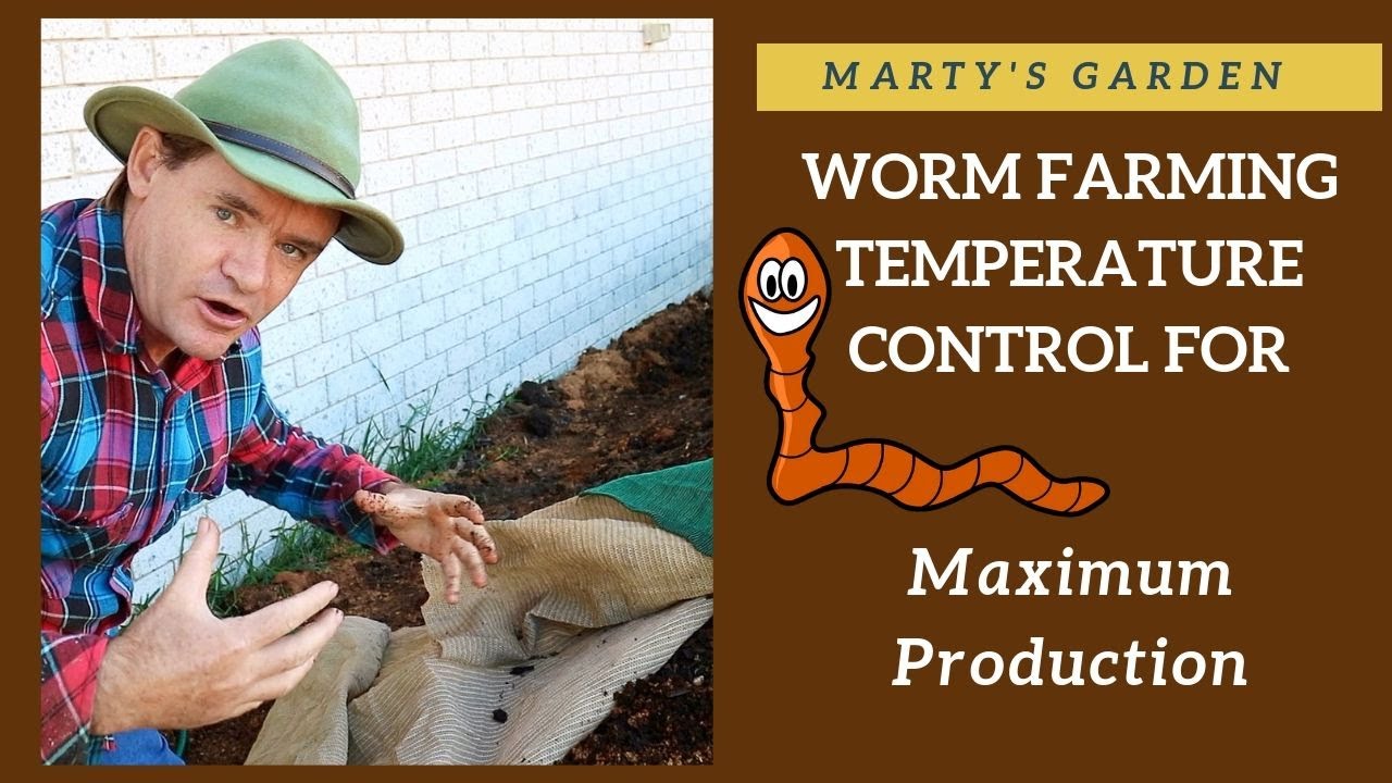 Worm Farming Temperature Control "MAXIMUM PRODUCTION" Castings & Worms