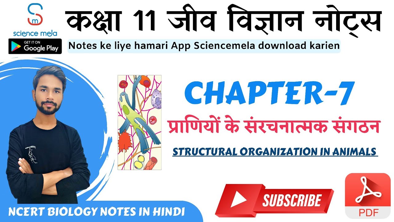 अध्याय 7 - प्राणियों में संरचनात्मक संगठन (PDF नोट्स) | Biology | Class 11|  Chapter 7 Notes in Hindi - YouTube