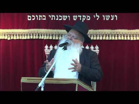 את המנגינה הזו אי אפשר להפסיק | הרב דניאל זר