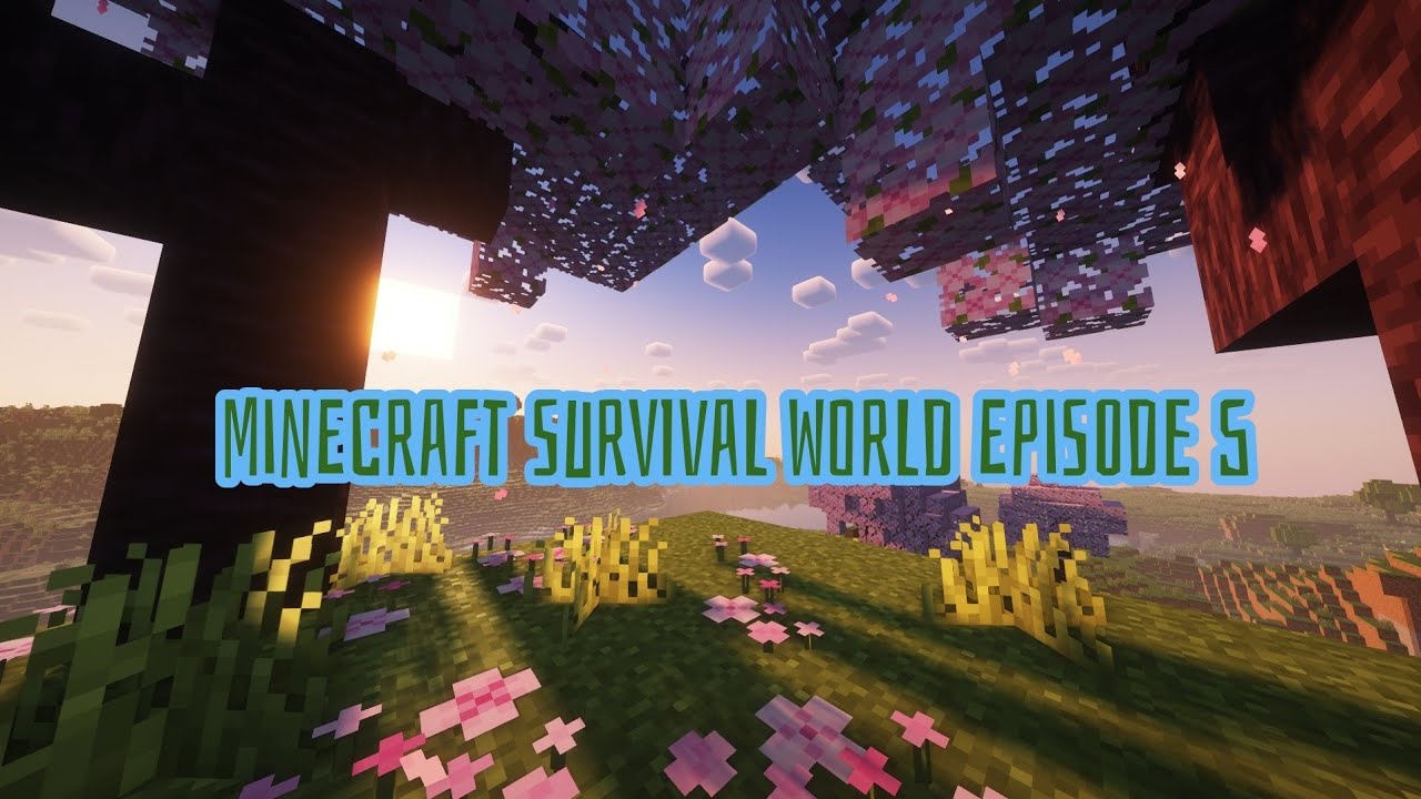 Minecraft Survival World Episode 5 - YouTube