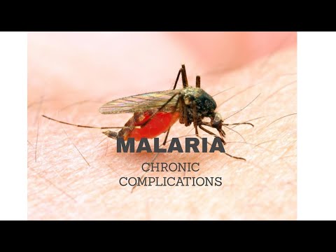 Video: Hvad forårsager splenomegali ved malaria?