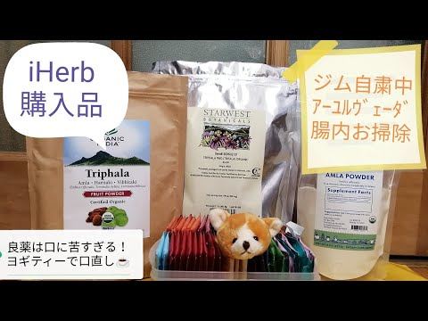 iHerb購入品#11 腸内環境改善にアーユルヴェーダ果実パウダー 良薬は口に苦すぎて苦行レベル/若返りの果実アムラパウダー