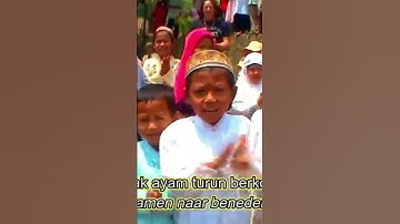 Kotek Kotek short
