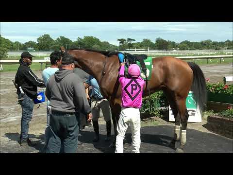 video thumbnail for MONMOUTH PARK 6-21-19 RACE 6